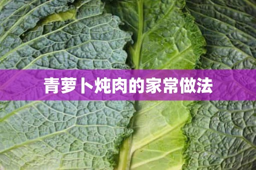 青萝卜炖肉的家常做法