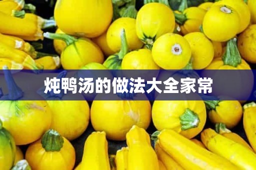 炖鸭汤的做法大全家常