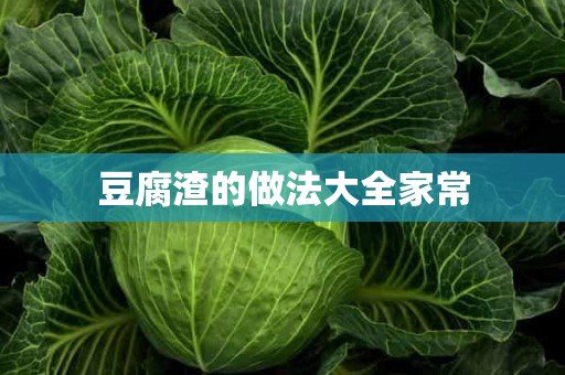 豆腐渣的做法大全家常