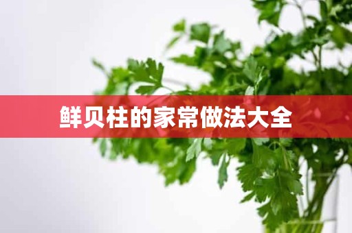 鲜贝柱的家常做法大全