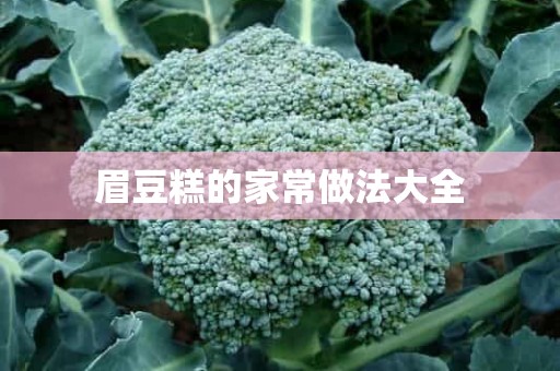 眉豆糕的家常做法大全