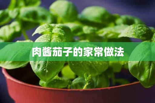 肉酱茄子的家常做法