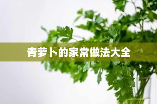 青萝卜的家常做法大全