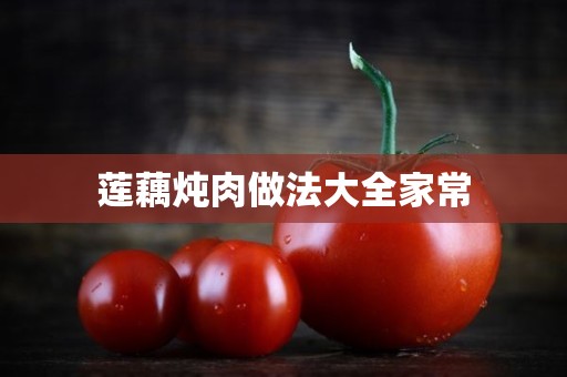 莲藕炖肉做法大全家常