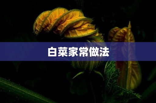 白菜家常做法