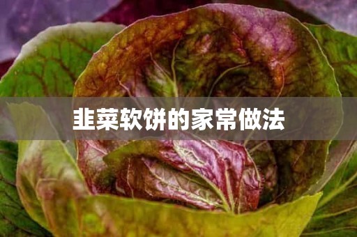 韭菜软饼的家常做法