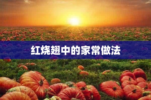 红烧翅中的家常做法