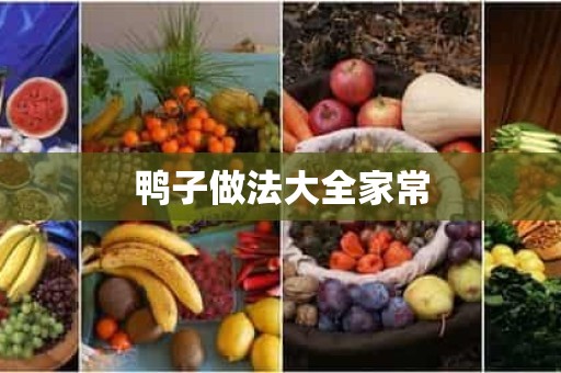 鸭子做法大全家常