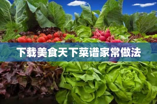 下载美食天下菜谱家常做法