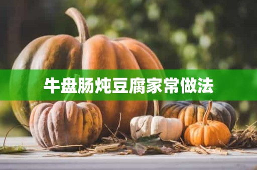 牛盘肠炖豆腐家常做法