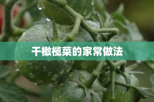 干橄榄菜的家常做法