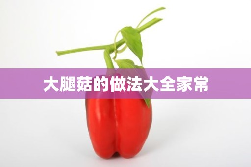 大腿菇的做法大全家常