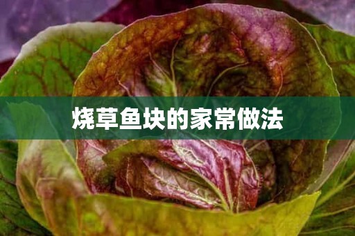 烧草鱼块的家常做法