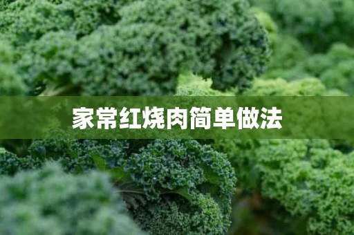 家常红烧肉简单做法