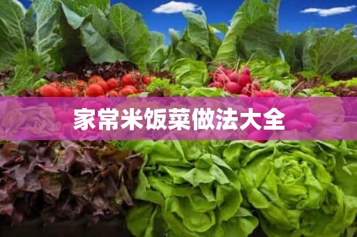 家常米饭菜做法大全