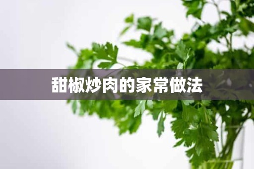 甜椒炒肉的家常做法