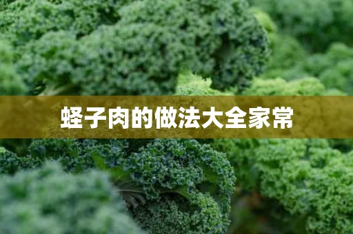 蛏子肉的做法大全家常