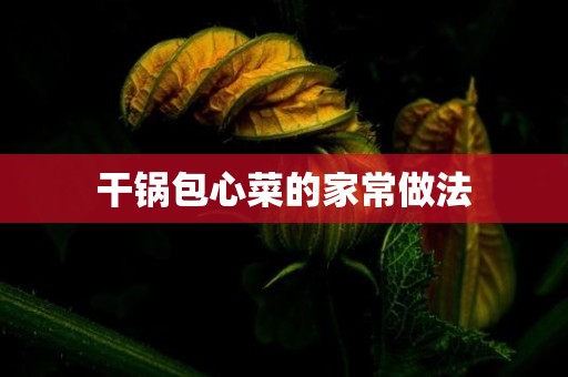 干锅包心菜的家常做法