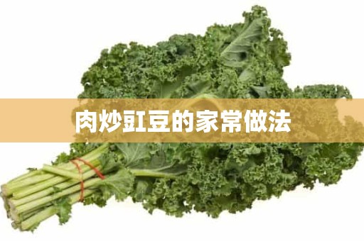 肉炒豇豆的家常做法