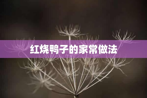 红烧鸭子的家常做法