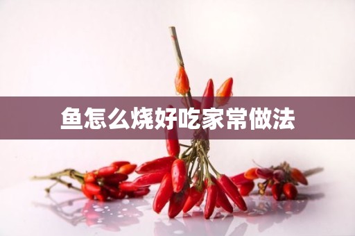 鱼怎么烧好吃家常做法