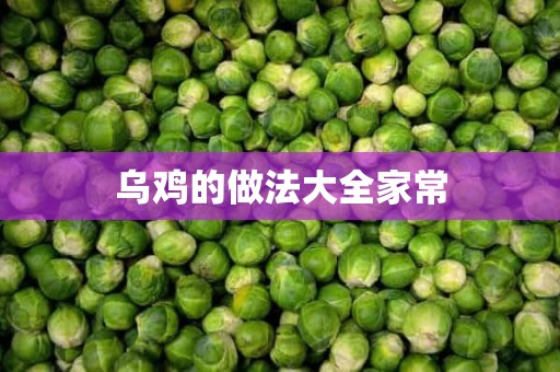 乌鸡的做法大全家常