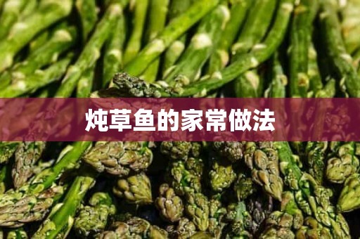 炖草鱼的家常做法