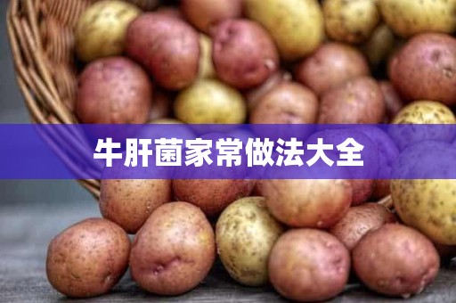 牛肝菌家常做法大全