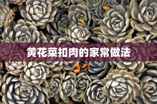 黄花菜扣肉的家常做法