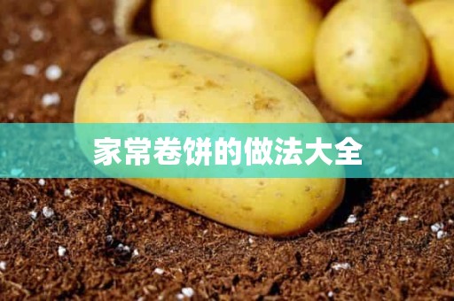 家常卷饼的做法大全