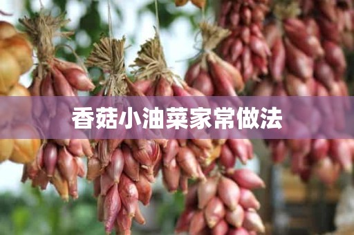 香菇小油菜家常做法