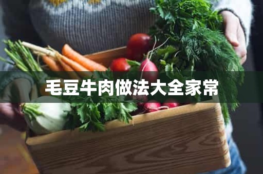 毛豆牛肉做法大全家常