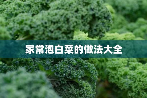 家常泡白菜的做法大全