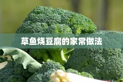 草鱼烧豆腐的家常做法