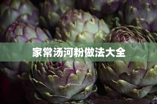 家常汤河粉做法大全