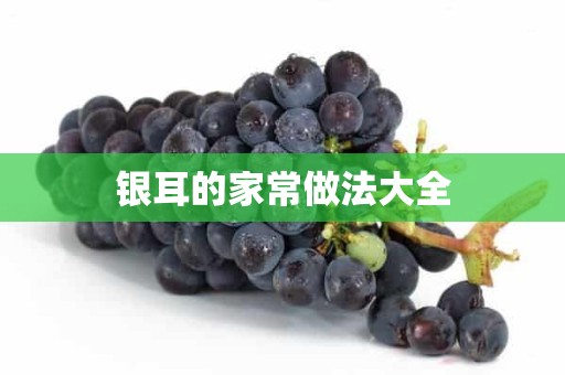 银耳的家常做法大全