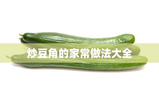 炒豆角的家常做法大全