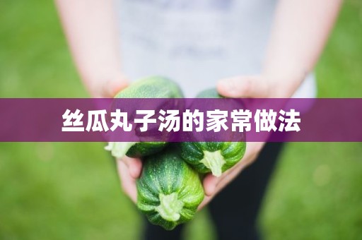 丝瓜丸子汤的家常做法