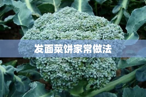 发面菜饼家常做法