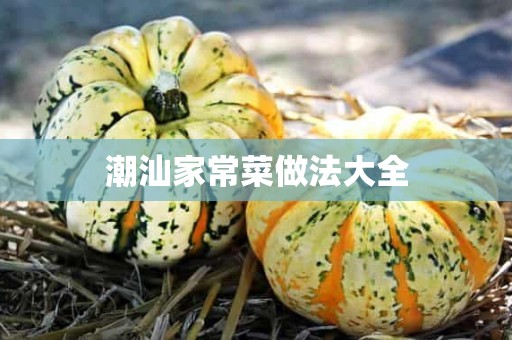 潮汕家常菜做法大全