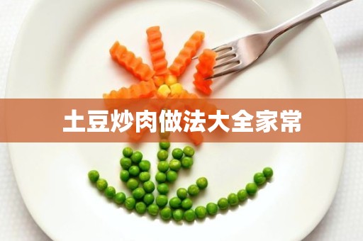 土豆炒肉做法大全家常