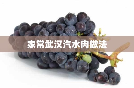 家常武汉汽水肉做法