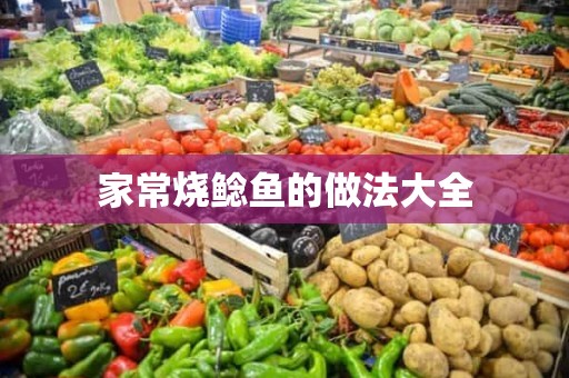 家常烧鲶鱼的做法大全