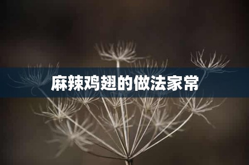 麻辣鸡翅的做法家常