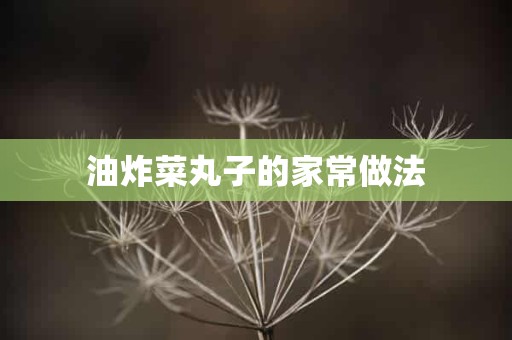 油炸菜丸子的家常做法