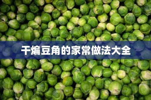 干煸豆角的家常做法大全