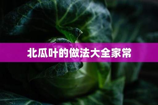 北瓜叶的做法大全家常