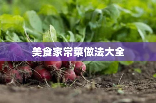 美食家常菜做法大全