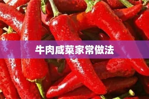 牛肉咸菜家常做法