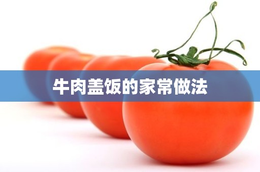 牛肉盖饭的家常做法